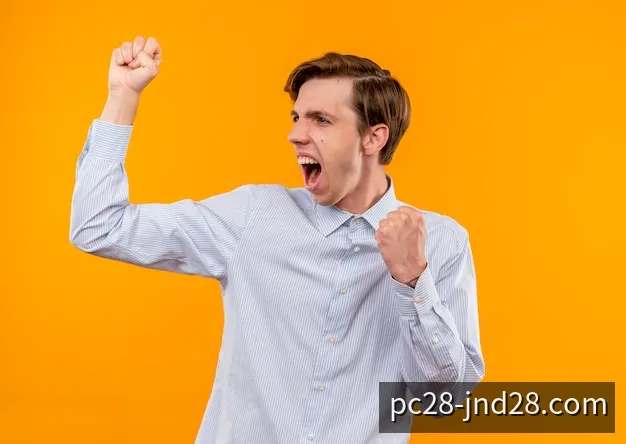 PC28数据字段与统计图表阅读示意